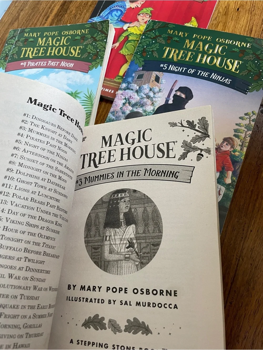 Mary Pope Osborne Magic Tree House Kids Book Set of 6 - Gently used